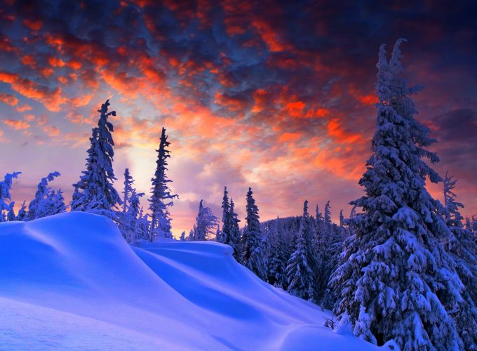 Wallpaper forest, snow, winter, sunrise, clouds, 8k, Nature 517023344